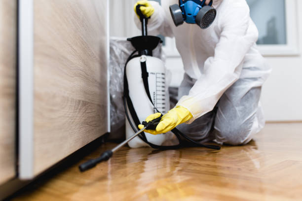 Best Pest Inspection Near Me  in Morehead, KY