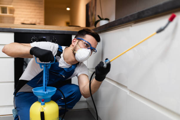 Best Local Pest Control Services  in Morehead, KY