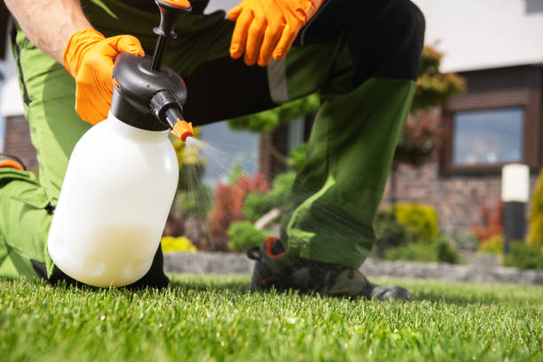 Best Residential Pest Control  in Morehead, KY
