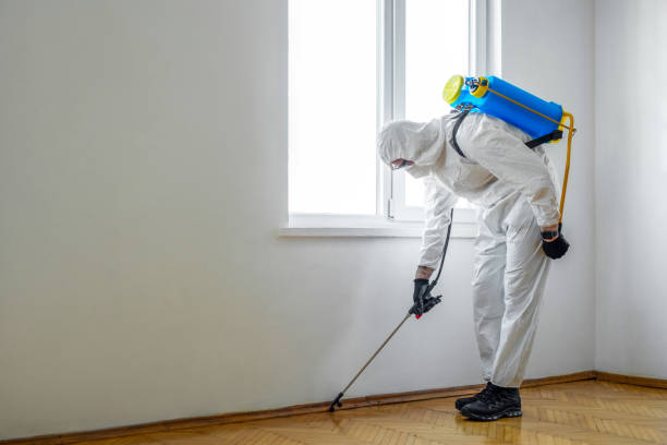 Trusted Morehead, KY Pest Control Experts