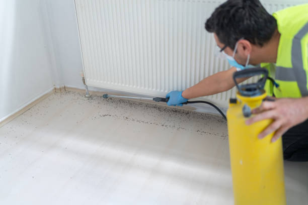 Flea Control Services in Morehead, KY